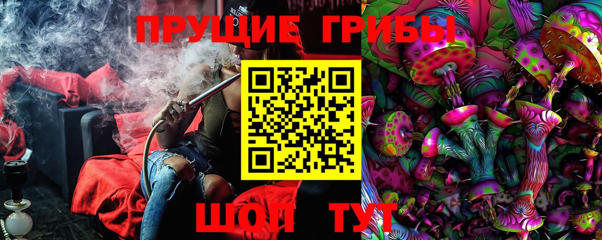 Галлюциногенные грибы GOLDEN TEACHER Карачаевск