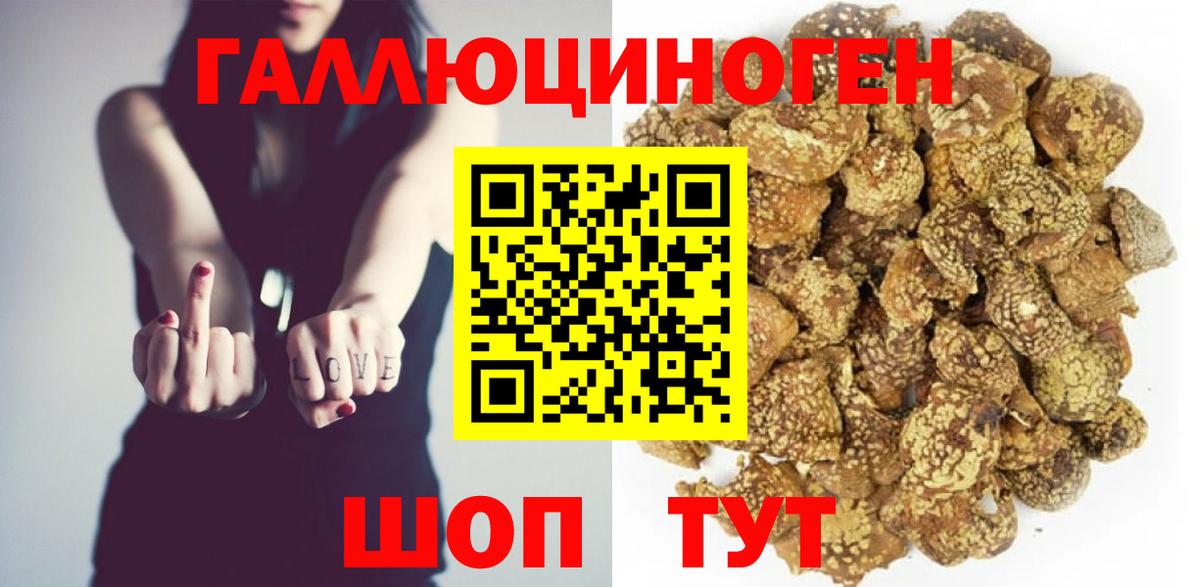 Карачаевск  Галлюциногенные грибы мицелий  Галлюциногенные грибы GOLDEN TEACHER  Вход с VPN 