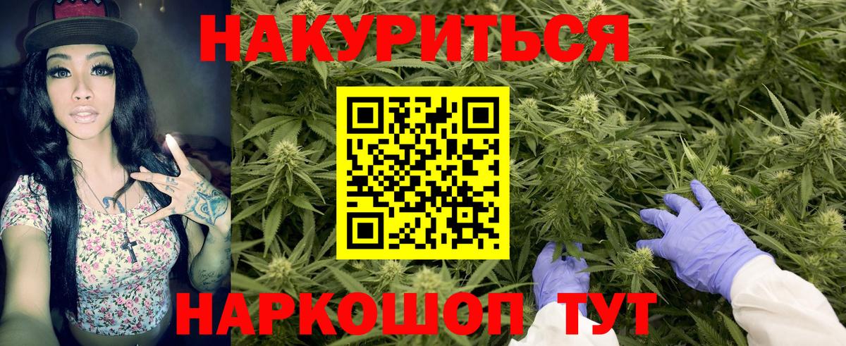 Шишки марихуана конопля  Бошки марихуана MAZAR  Вход с VPN  Карачаевск  Марихуана конопля 